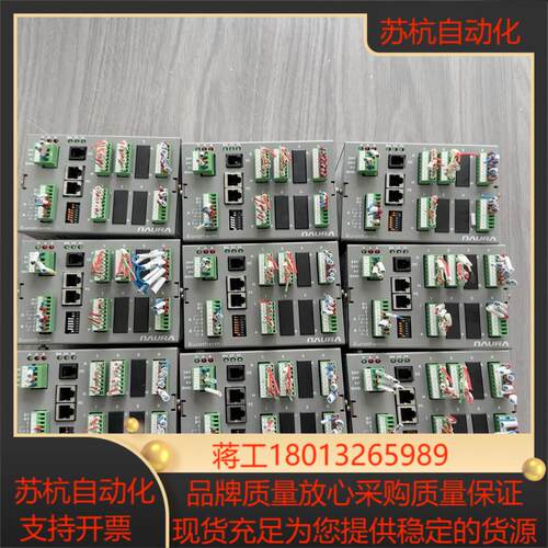 Eurm欧陆控制器MINI816LPXPRG