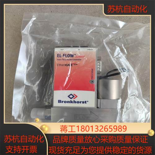 Bronkhorst气体计RUR-108T99新