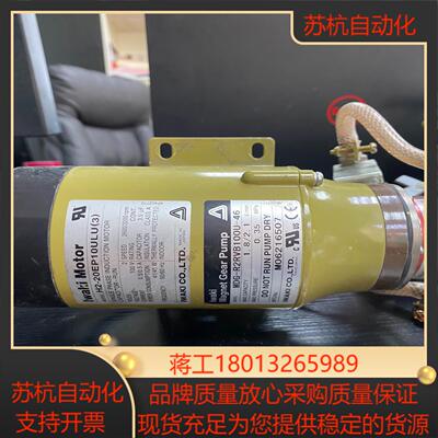 iwaki易威奇 mdg-r2bvb100u磁力齿轮泵