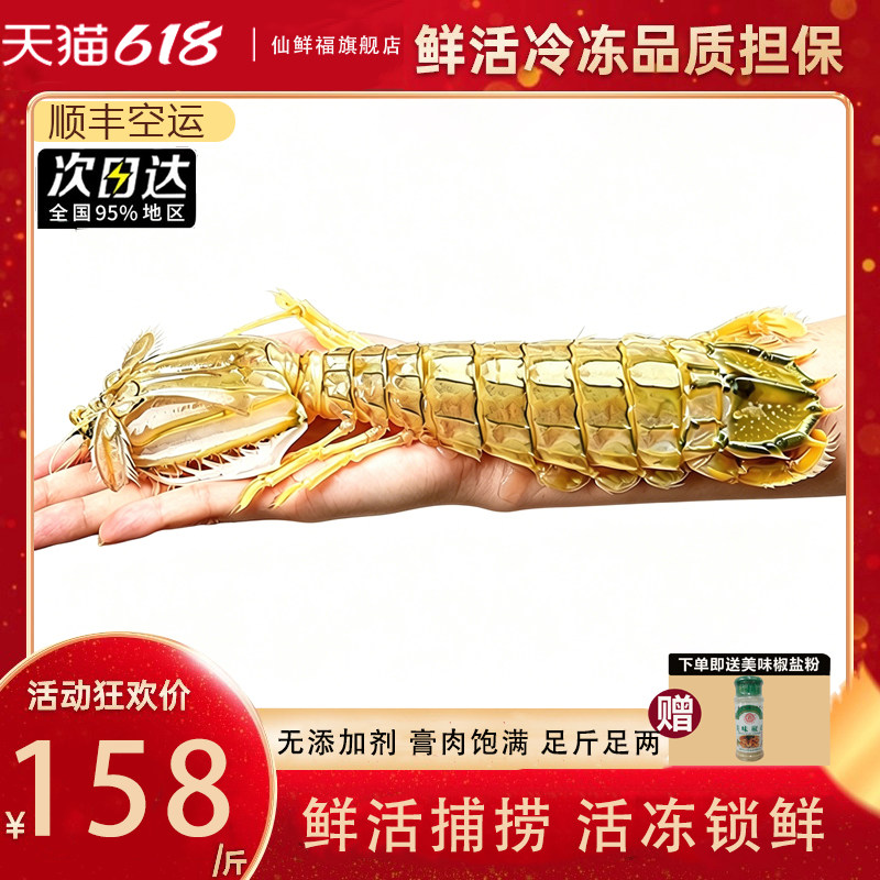 泰国鲜活冷冻熟冻濑尿虾特大皮皮虾海鲜水产巨型熟冻特大富贵虾姑