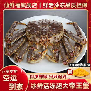 特大5-10斤帝王蟹鲜活冷冻进口俄罗斯帝皇螃蟹冰鲜海鲜阿拉斯加蟹
