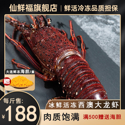 特大生冻西澳洲大龙虾花龙虾礼盒