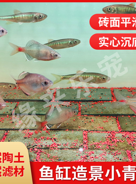 鱼缸铺底青石砖造景青砖复古创意溪流缸造景石全套青砖片沉底垫材