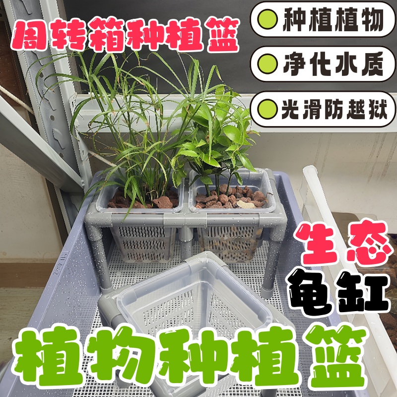 生态龟缸绿植盆栽托架龟缸造景
