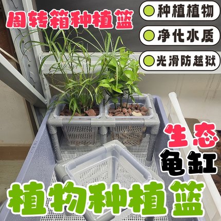 鱼缸水培篮水竹定植篮绿植盆栽托架生态龟缸造景装饰周转箱乌龟缸