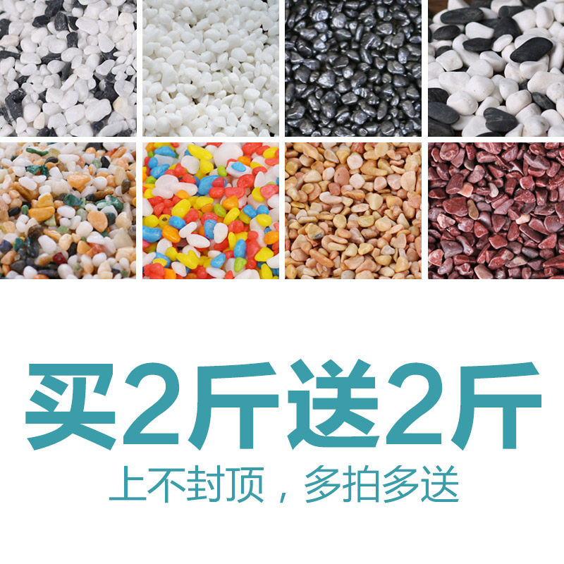 鱼缸里放水草价格 鱼缸里放水草图片 星期三
