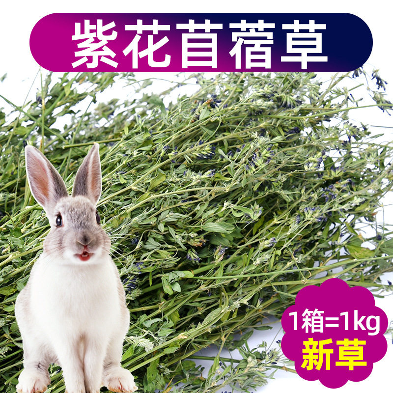 紫花苜蓿草2024年新草 兔子龙猫牧草兔粮豚鼠饲料干草毛重1000克,宠物/宠物食品及用品,兔,淘宝优惠券,粉丝福利购,淘宝优惠卷