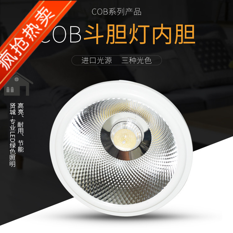 led斗胆灯内胆灯芯AR111射灯聚光