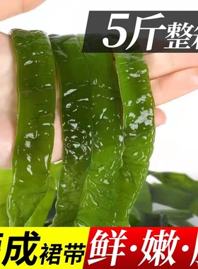 5斤新鲜裙带梗菜海白菜梗盐渍海裙菜凉拌非干货商用咸菜整箱海带