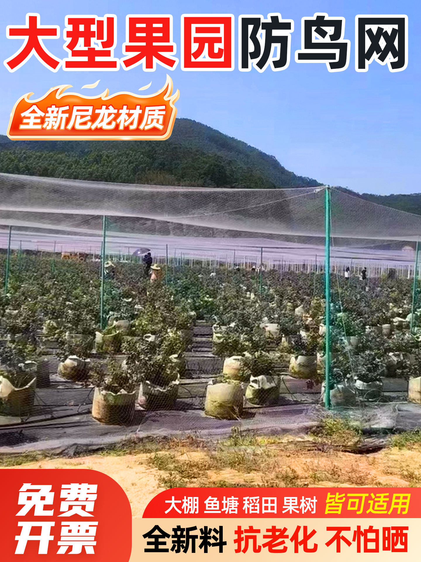 防鸟网果园大棚果树樱桃葡萄防飞鸟鱼塘天网防护网防雹网养殖网罩