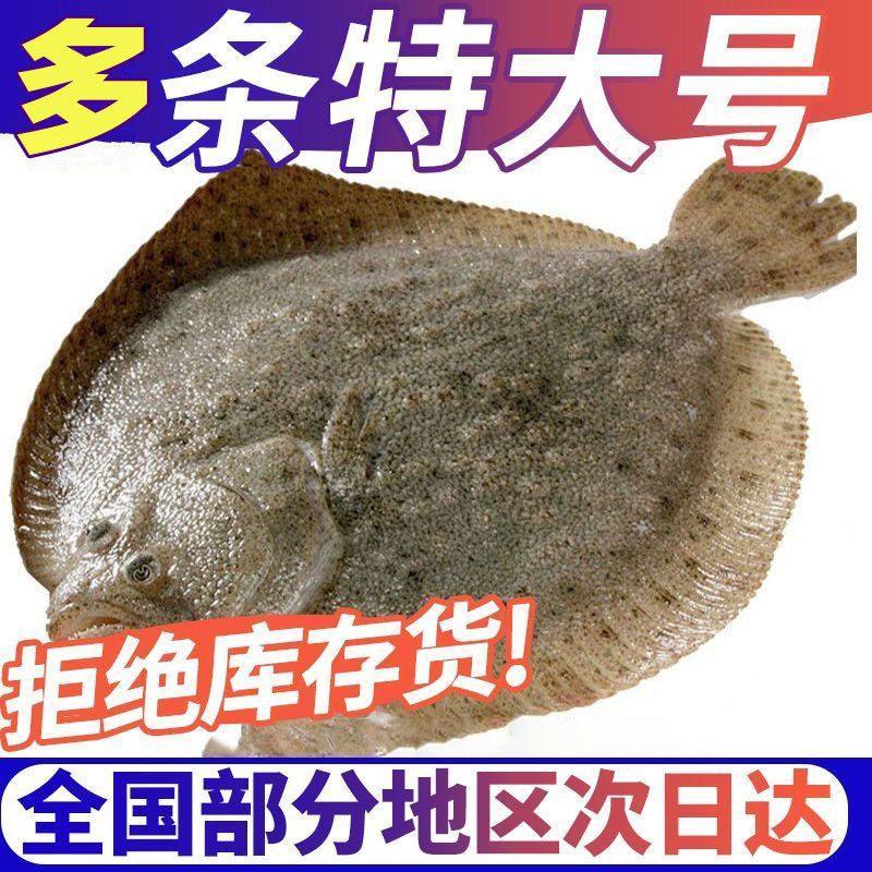 新鲜多宝鱼鲜冻新鲜比目鱼大菱鲆鱼类批发包邮水产冷冻海鲜海鱼,水产肉类/新鲜蔬果/熟食,比目鱼/多宝鱼/鸦片鱼/龙利鱼,淘宝优惠券,粉丝福利购,淘宝优惠卷