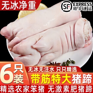 新鲜猪蹄现杀大个猪蹄带筋猪脚新鲜猪手前蹄后蹄一整箱商用顺丰