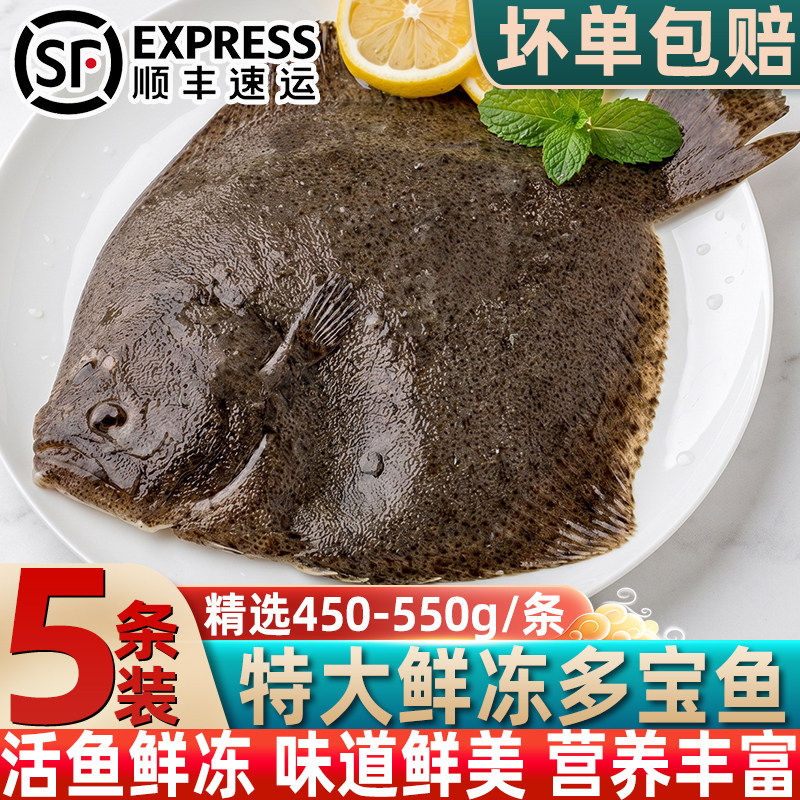 新鲜速冻大比目鱼多宝鱼