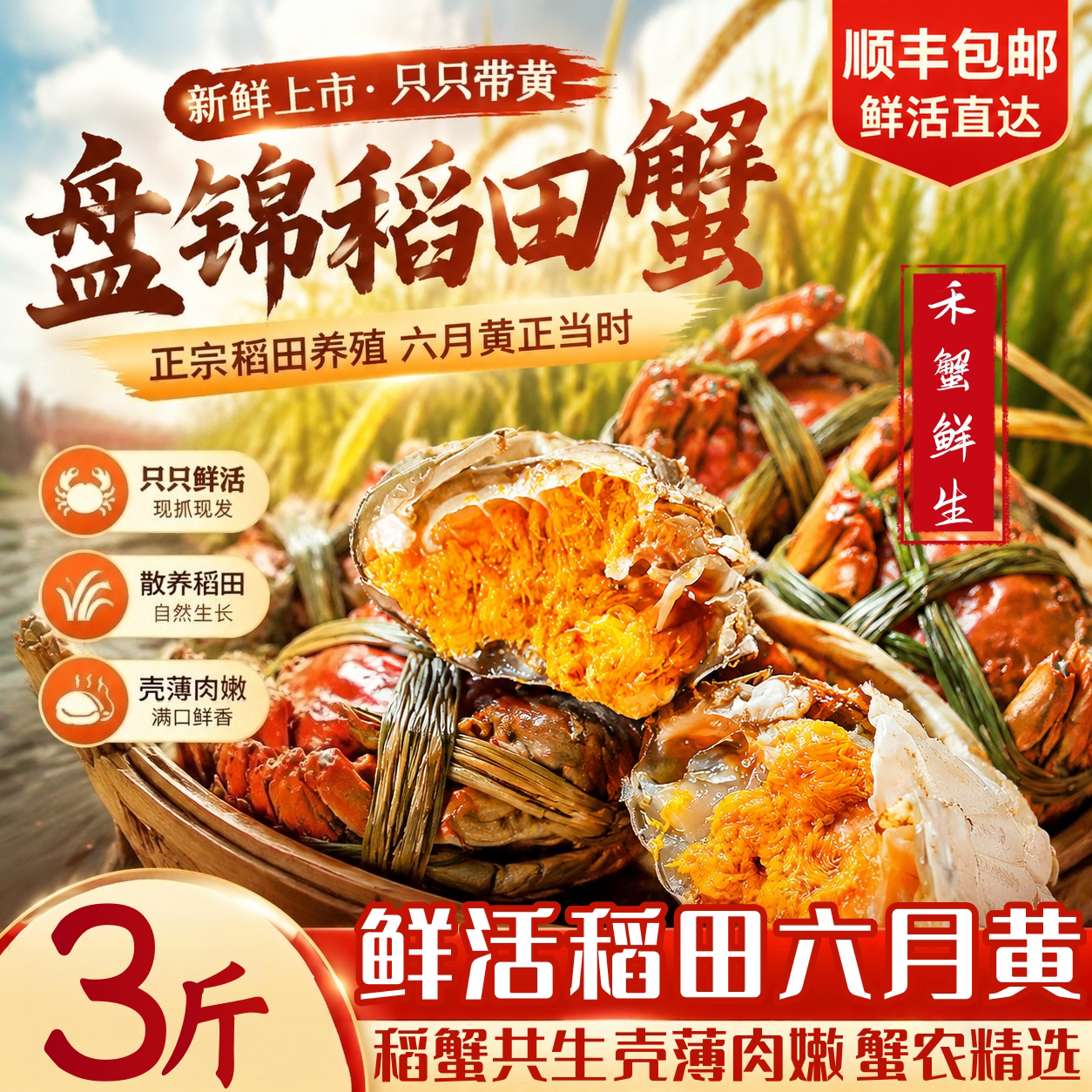 盘锦鲜活六月黄公河蟹