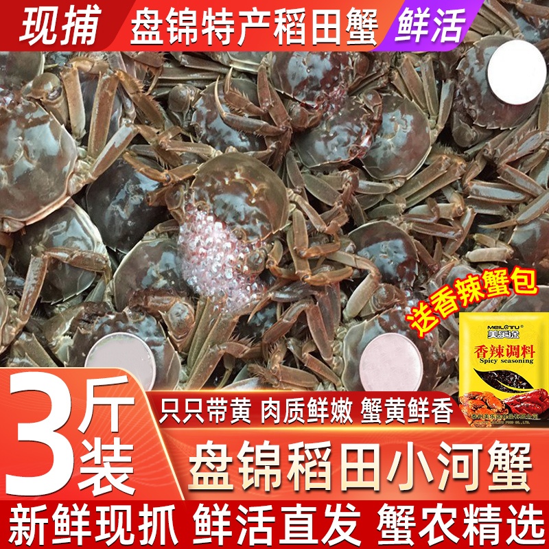 全母满黄鲜活一元小螃蟹稻田蟹河蟹全母闸蟹小河蟹毛蟹稻田蟹礼盒