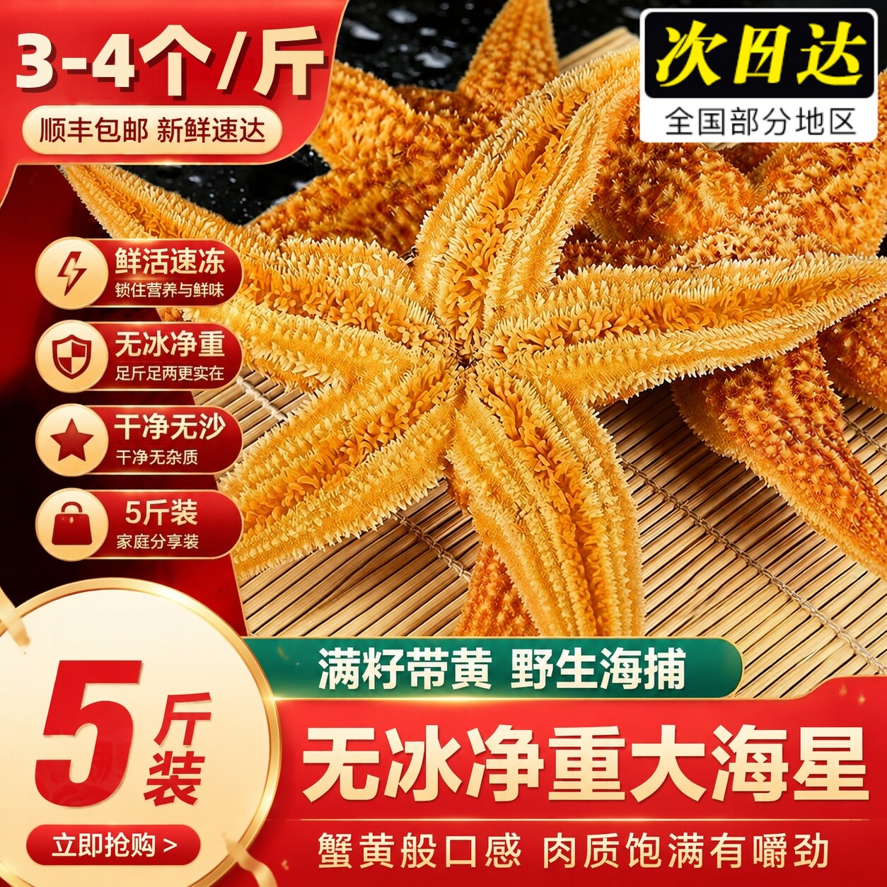 无冰鲜活速冻海星五腿星煲汤
