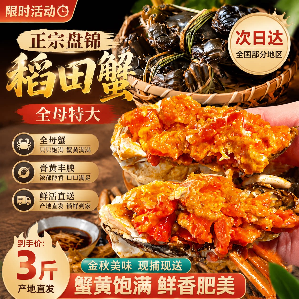 鲜活盘锦河蟹净重3斤正宗盘锦河蟹鲜活特大闸蟹稻田活蟹顺丰空运