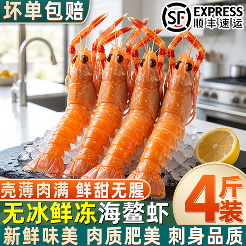 新鲜海捕无冰海螯虾刺身寿司
