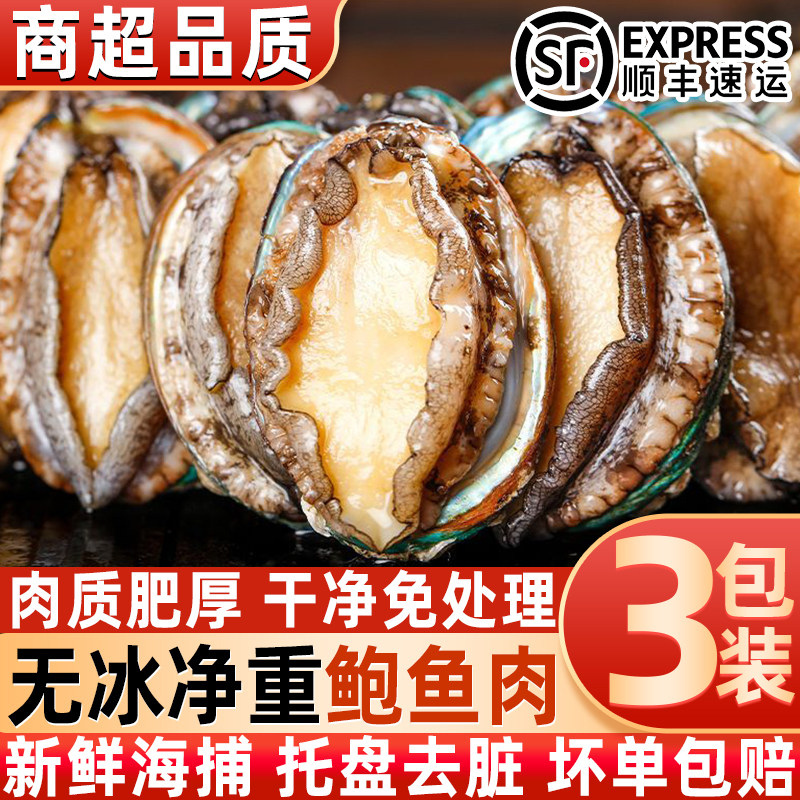 新鲜带壳鲍鱼肉活鲍速冻纯肉带壳去内脏新鲜鲍鱼火锅食材商用顺丰