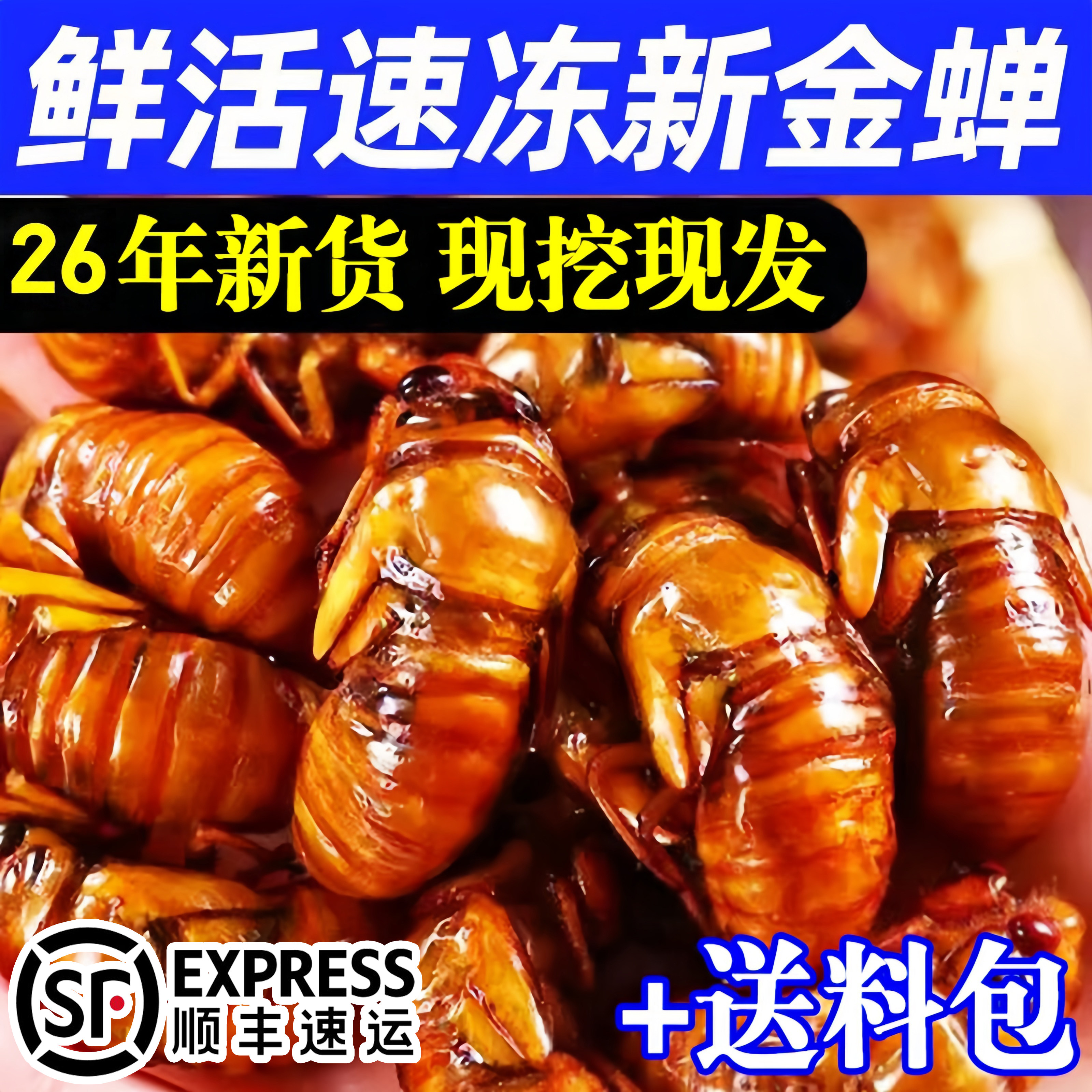 鲜冻金蝉知了猴现捕速发顺丰