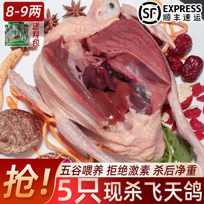 农家散养新鲜现杀活体煲汤烤乳鸽