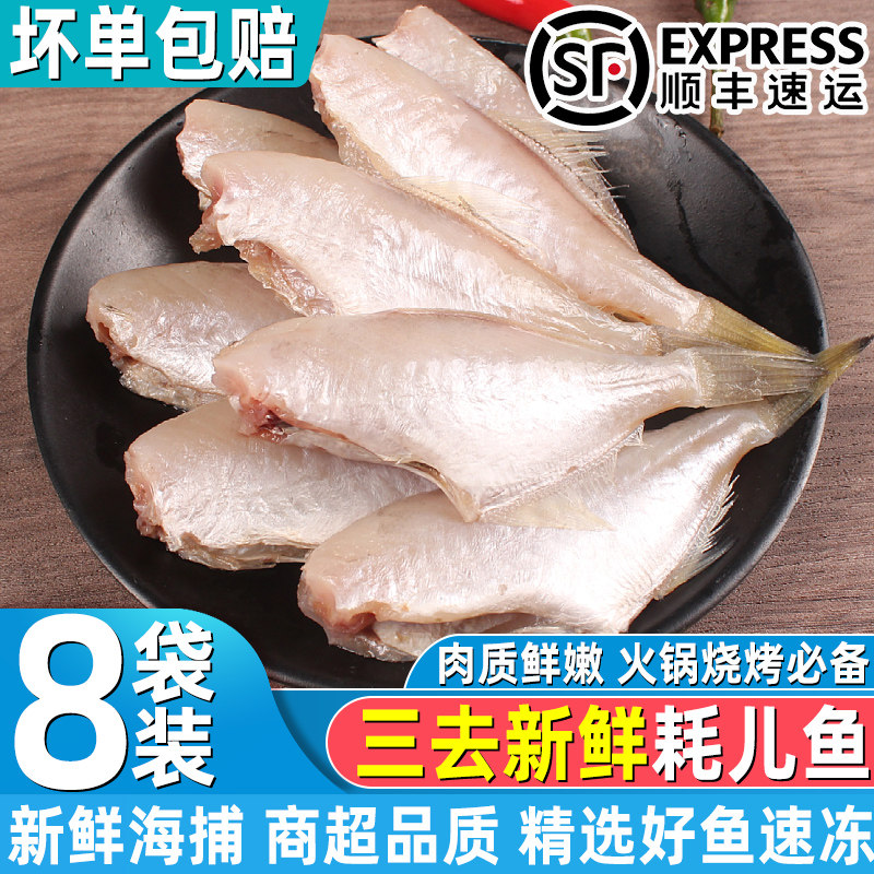 新鲜耗儿鱼马面鱼免清理剥皮鱼新鲜海捕扒皮鱼火锅食材发顺丰冷链