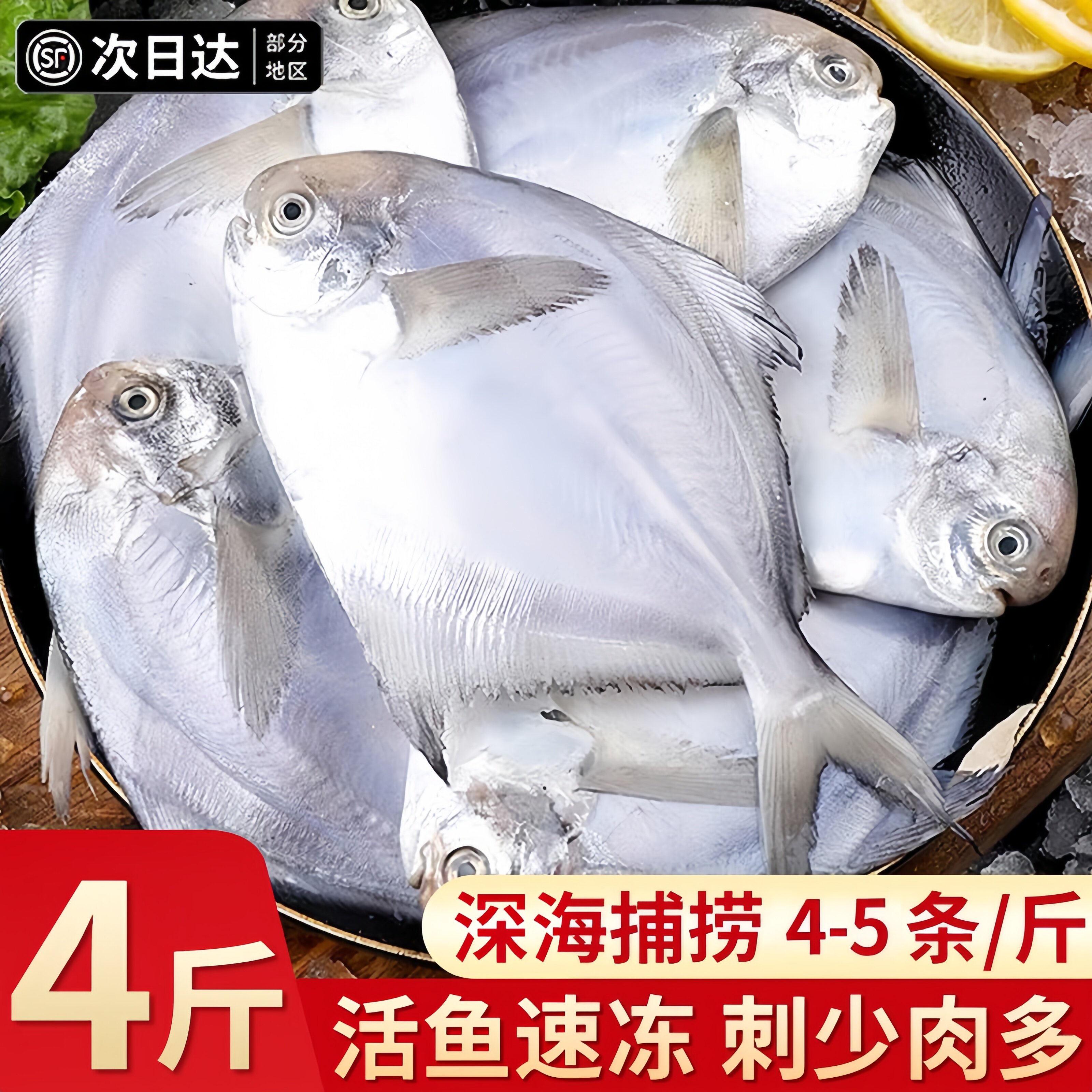 深海鲜冻银鲳鱼顺丰包邮