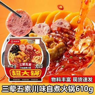 海底捞自热自煮超大火锅三荤五素麻辣烫冒菜即食免煮速食懒人方便