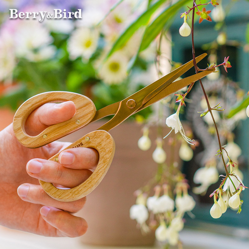 Berry&bird园艺草花剪刀不锈钢