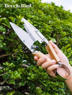 Berry&Bird园艺剪刀灌木绿篱修剪草坪绿化园林家用花盆景造型工具