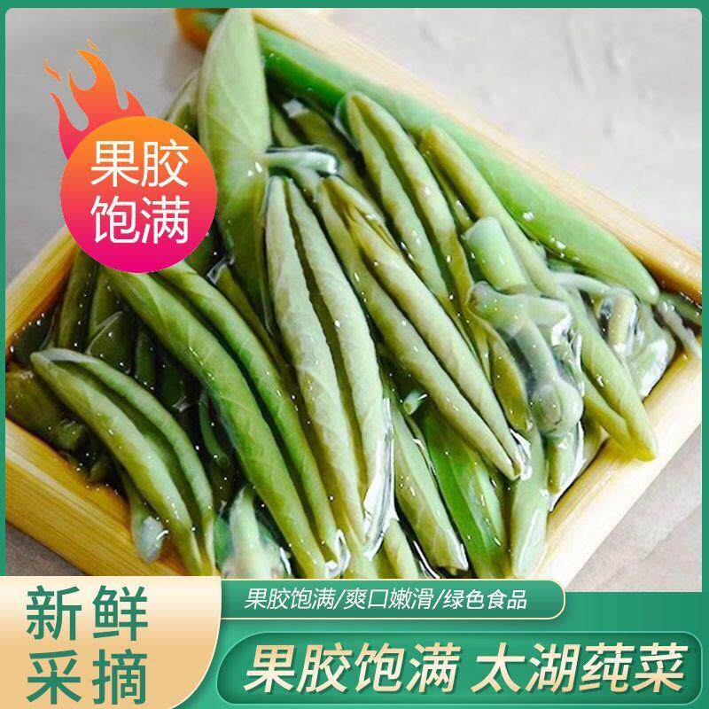 苏州特产太湖新鲜莼菜水八仙袋装320g东山农家自采非西湖净菜野菜