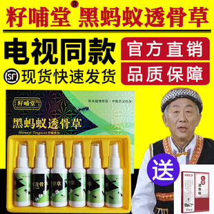 电视同款籽哺堂黑蚂蚁透膏草旗艦店黑玛蚁黑马蚁喷剂透膏透骨草贴