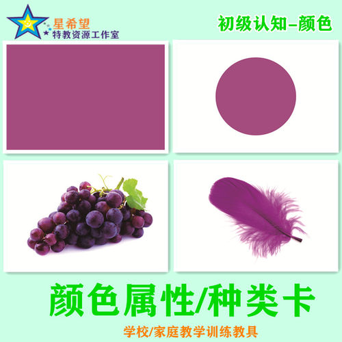 颜色认知卡自闭症语言迟缓教学卡