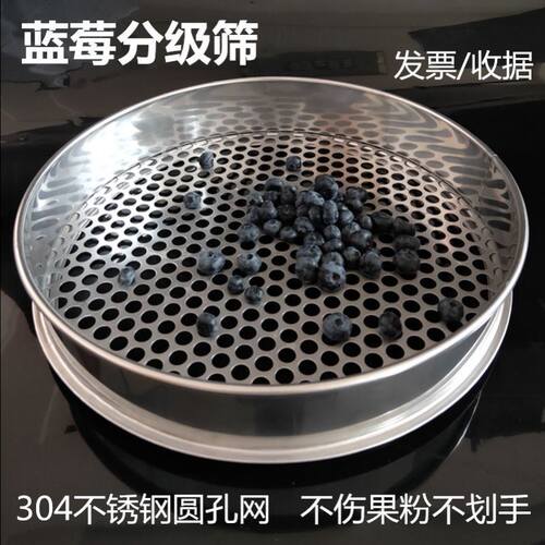 蓝莓筛子窜天豆不锈钢