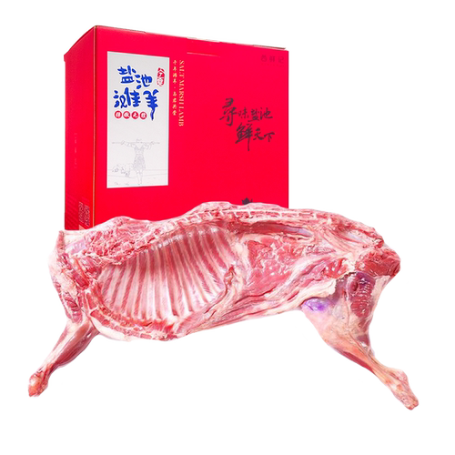 鲜羔羊滩羊价格 鲜羔羊滩羊图片 星期三 鲜羔羊滩羊价格 鲜羔羊滩羊图片 星期三