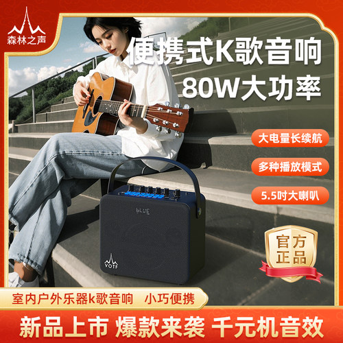 森林之声室内户外k歌乐器音响