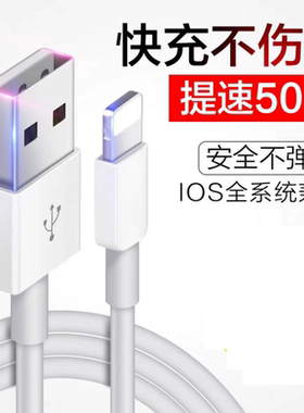 适用苹果14数据线iPhone11快充6s手机usb充电线8plus加长2米7P充电器12pro闪充13/ipad冲电xr平板max单头6s线