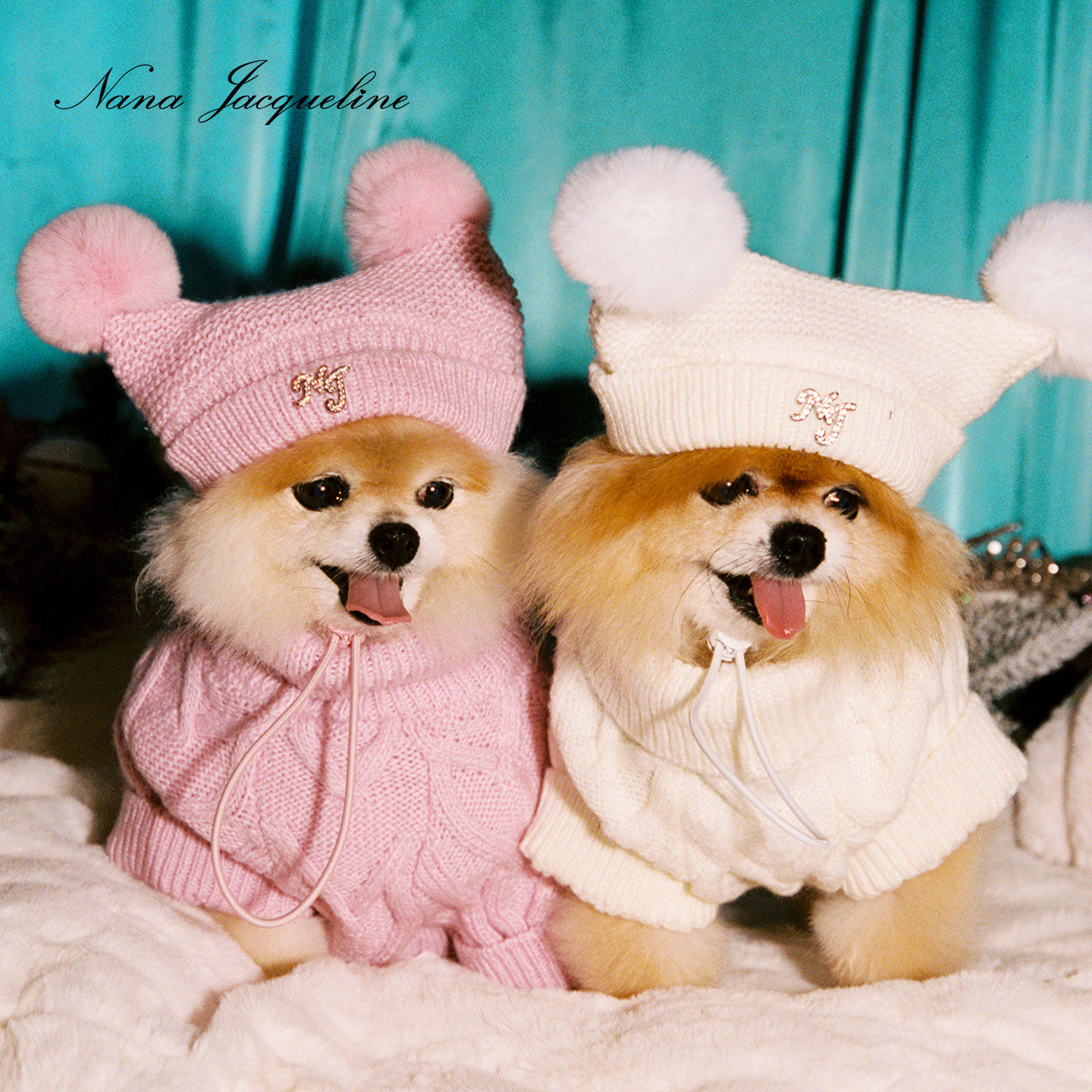 NanaJacqueline宠物衣服猫咪狗狗节日可爱毛球高领毛织套装含帽子,宠物/宠物食品及用品,狗宠物服装/雨衣,淘宝优惠券,粉丝福利购,淘宝优惠卷