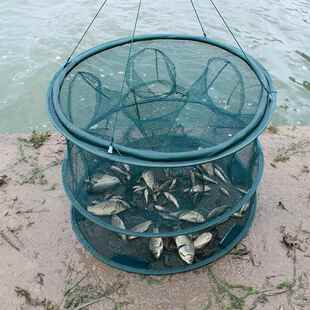地箜网鱼鱼笼只进不出小号塘角鱼笼塘鲺鱼笼泥猛笼螃蟹笼子海边用