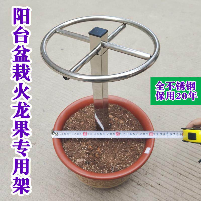 火龙果支架不锈钢火龙果架花架小