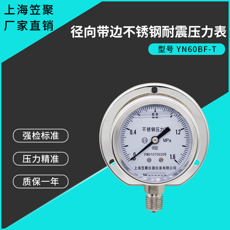 径向带边船用耐震压力表