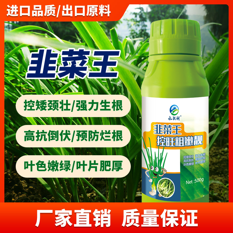 韭菜肥料专用韭菜王粗壮叶面肥水溶肥增粗控旺增产壮根抗倒黄干尖