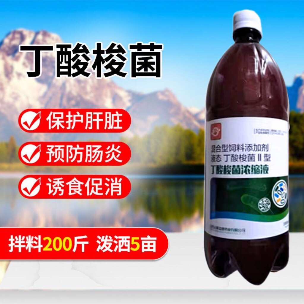 丁酸梭菌原液调水菌种虾拖白便改善肠道空肠胃小龙虾螃蟹水产养殖