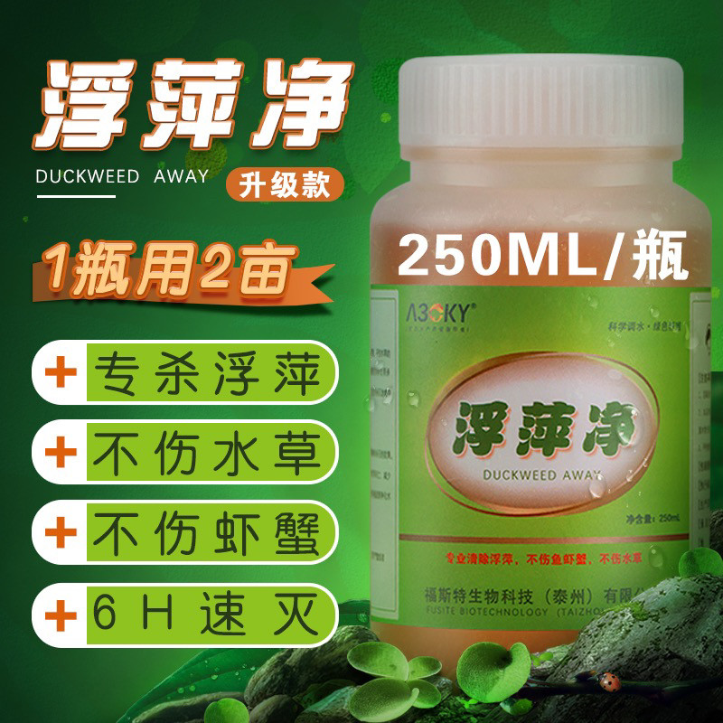 浮萍杀浮萍水产养殖浮萍净莲藕塘稻田除浮萍克星虾蟹鱼池塘一扫光