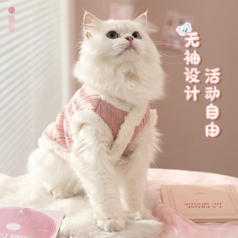 猫咪衣服防掉毛春秋款宠