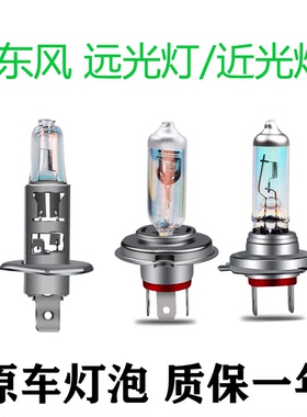 适用于景逸X3 X5 X6东风风行S500菱智SX6 CM7近光远光大灯灯泡