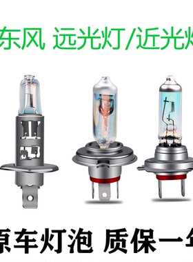 适用于景逸X3 X5 X6东风风行S500菱智SX6 CM7近光远光大灯灯泡