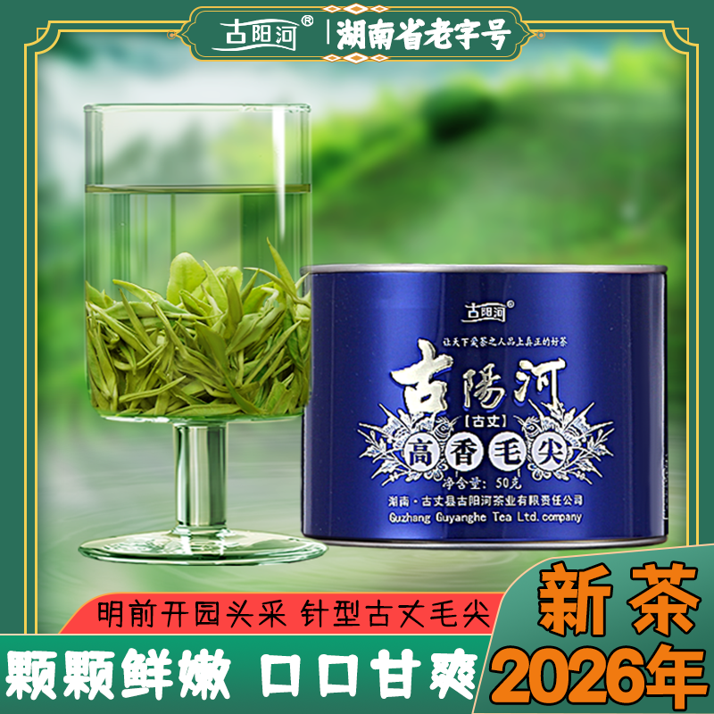 2026年头采古丈毛尖绿茶湖南老字号品牌明前早春高山春茶茶叶