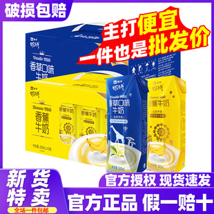 12盒奶饮料整箱清仓特 5月新货蒙牛奶特香草味 香蕉味牛奶243mL