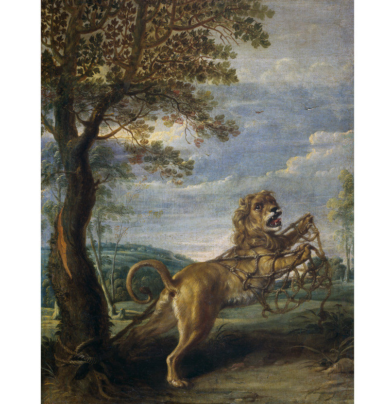 P779【比利时】弗朗斯·桑德斯Snyders, Frans动物油画电子图库